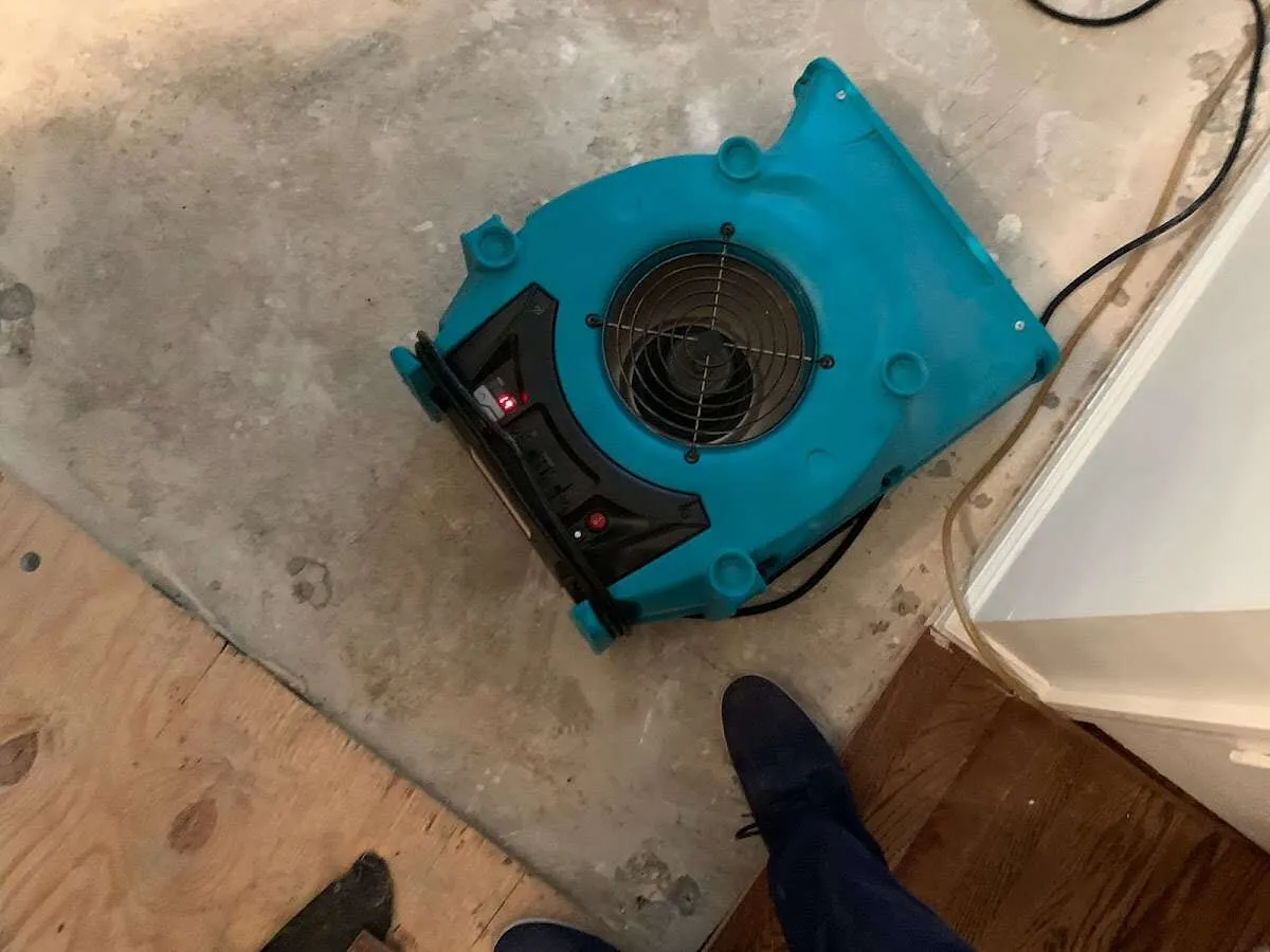 Air mover drying subfloor during Leak Detection & Repair in Sylvester